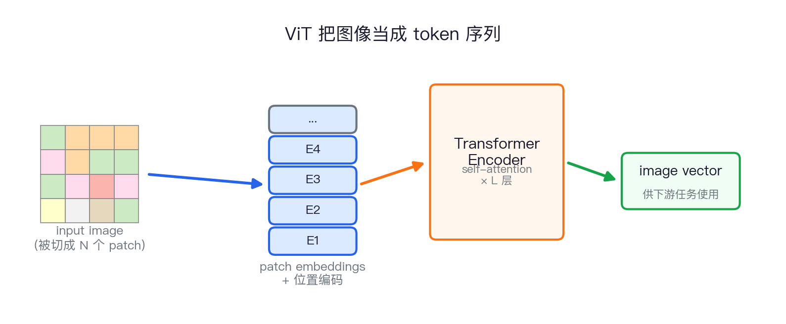 ViT pipeline schematic